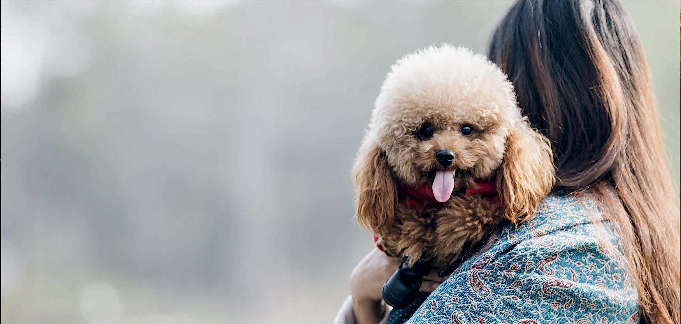 Картинка в слайдере