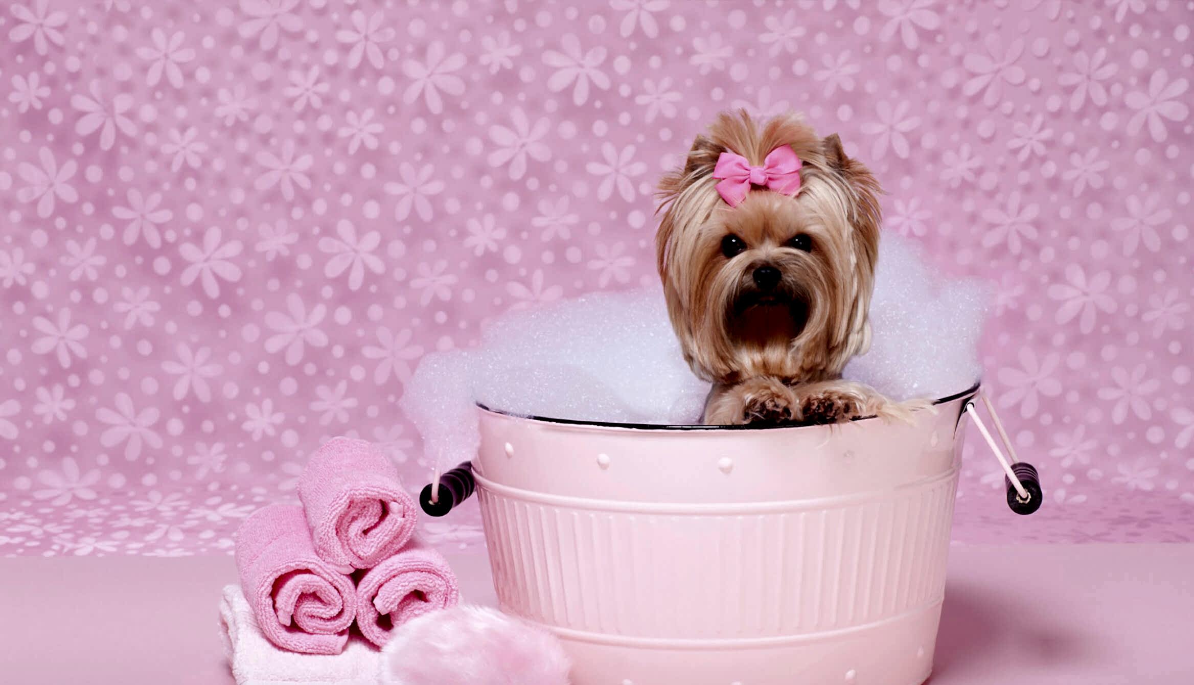 Картинка в слайдере